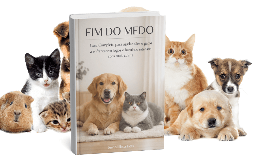 Fim do Medo